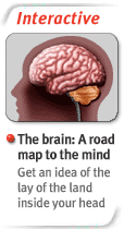 a road map to the mind