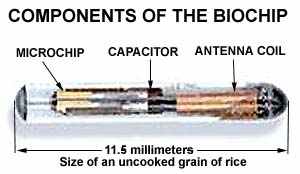 components of the biochip