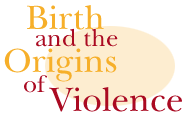 origin of violence